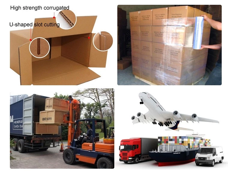 2 compartment plastic food container disposable lunch box