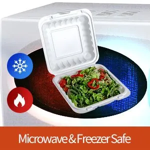 Jednorazové ekologické obedové boxy