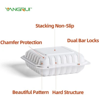 Hinged Lid Take Out Container